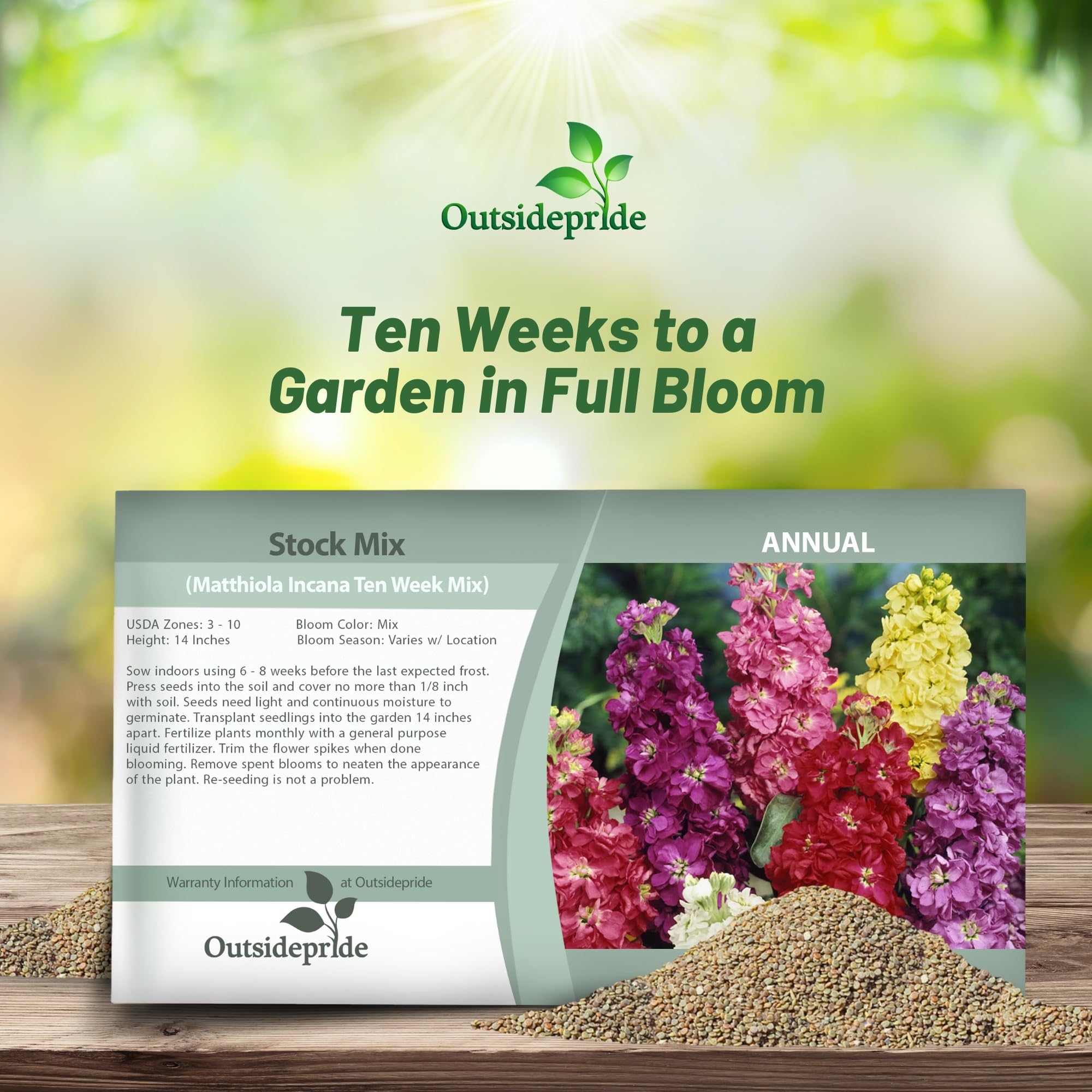 Amazon.com : Outsidepride Ten Week Mix Mattiola Stock Seeds - 1000 Pcs  Annual Flower Seeds for Planting with Fragrant Blooms that Attract  Pollinators, Compact Growth, for Cut Flower Arrangements & Containers :