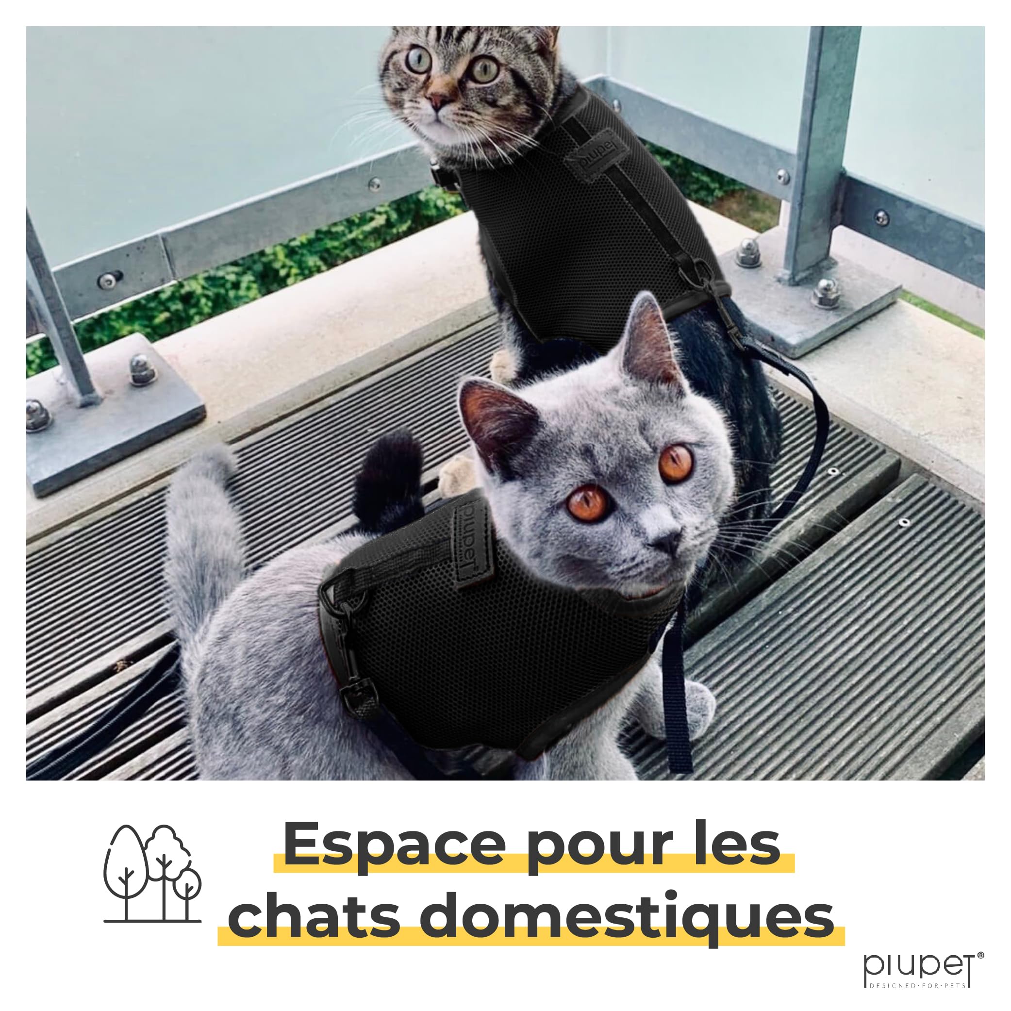 PiuPet® Harnais Chat & Laisse (S) I 1,2m I Anti Évasion I Collier I Chaton I Petit Chien I Adulte I Noir
