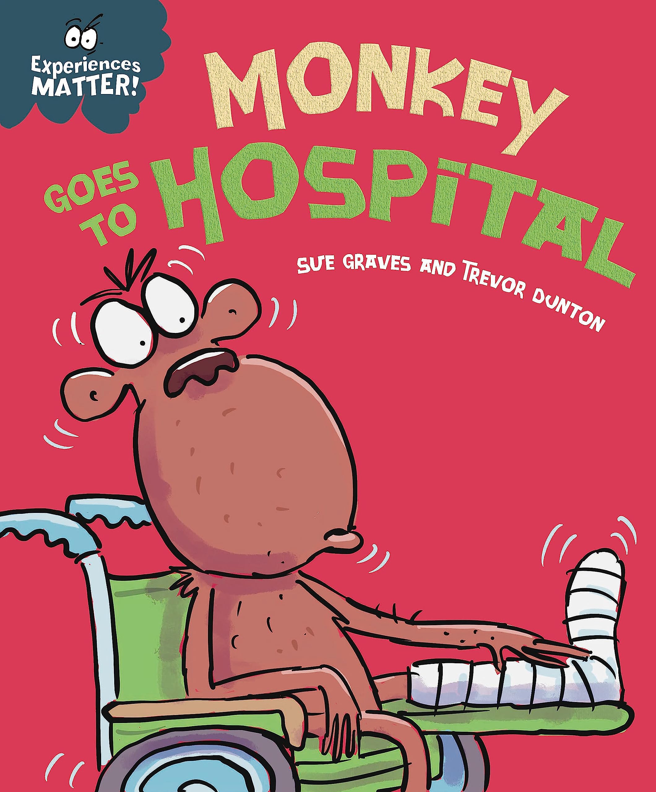 Experiences Matter Monkey Goes to Hospital by Sue Graves PAPERBACK 9781445182117