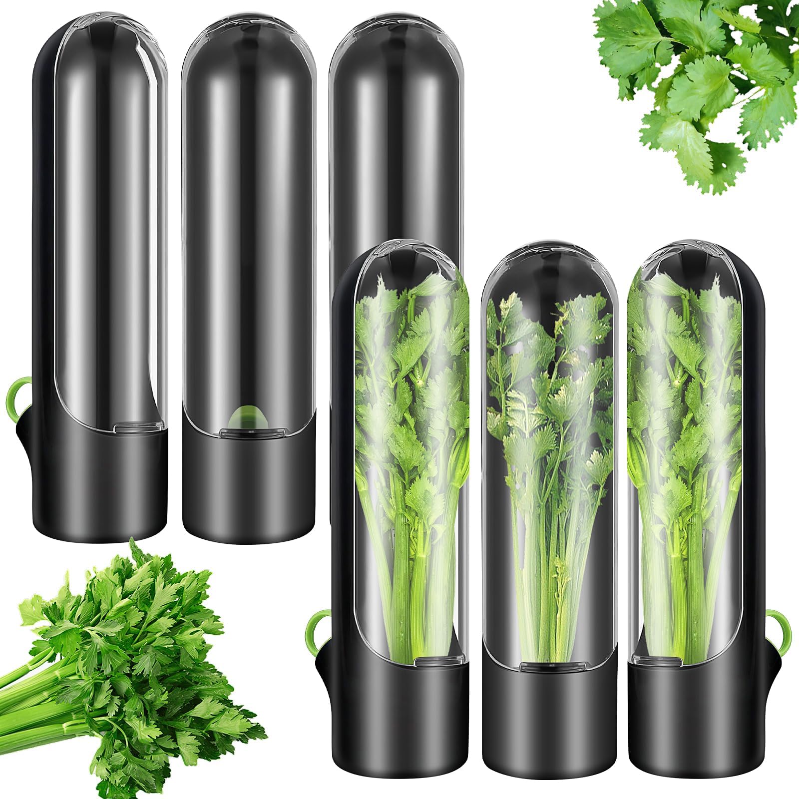 6er Set Kräuterbehälter für Kühlschranktür – Hält Koriander, Minze & Spargel 3x länger frisch – Premium Kräuterbox & Spargeltopf mit Wassertank von 