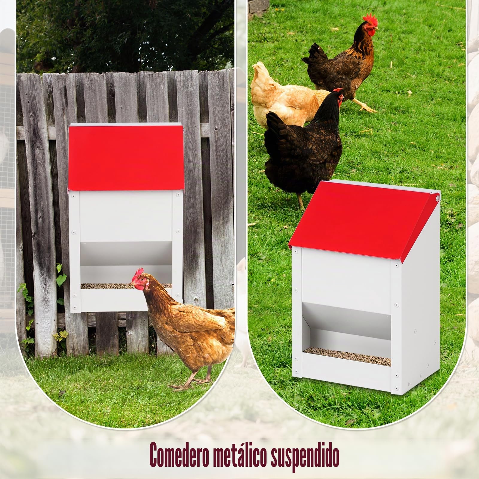 Comedero automático para pollos, 4,5 kg, de metal, comedero para gallinas, comedero para aves de corral con tapa, accesorio para gallinero, rojo (10 kg)