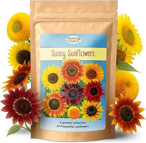 Miniatura 1 de Más de 1000 semillas de girasol para plantar, mezcla de 9 variedades de girasol, planta y cultiva un hermoso jardín de girasol, fácil de cultivar,