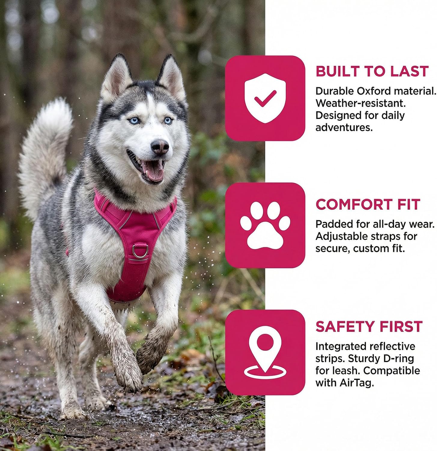No Pull Dog Harness with 2 Leash Clips, Adjustable Soft Padded Reflective Oxford Pet Vest with Easy Control Handle for Large Dogs (Fuchsia, Small)