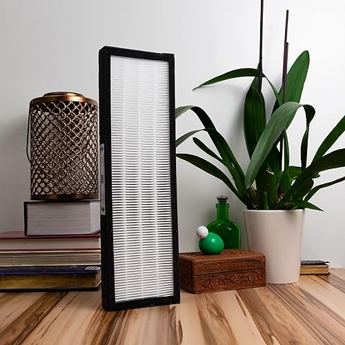 Miniatura 6 de Filtro Bros HEPA Filtro B Reemplazo Para GermGuardian FLT4825 AC4825 AC4900CA