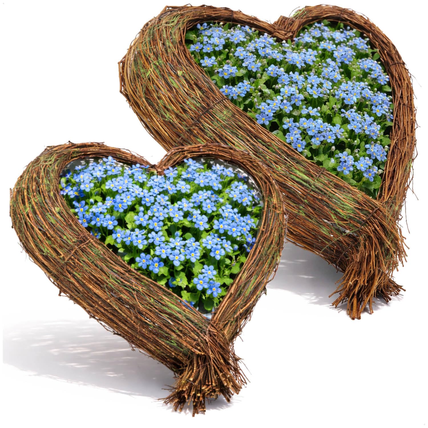 com-four® 2X Pflanzschale in Herzform, dekorative Weidenkörbchen in 2