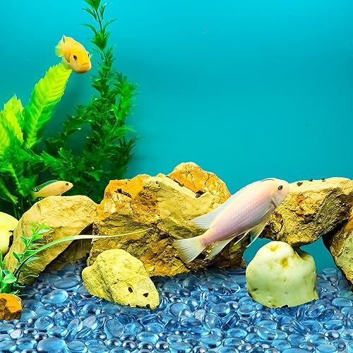 Miniatura 4 de Honeydak 300 unidades de canicas de vidrio plano para jarrones, gemas decorativas a granel, piedras de vidrio para acuario, cuentas de canicas de