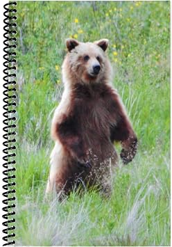 The Superior Registers Premium Check Book Register & Debit Card Ledger Notebook - Checking Account Register, Business Ledger, Cash Log & Expense Tracker - Standard Edition - 1 Pc, Bear