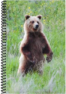 The Superior Register's Premium Check Book Register & Debit Card Ledger Notebook - Checking Account Register, Business Ledger, Cash Log & Expense Tracker - Standard Edition - 1 Pc, Bear