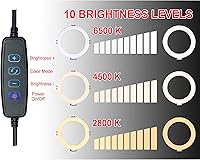 Vista 3 de Vidpro RL-10 - Kit de luces LED de 10 pulgadas con mini trípode y cabeza de bola. Alimentado por USB para retratos, maquillaje, modelado, vloggers