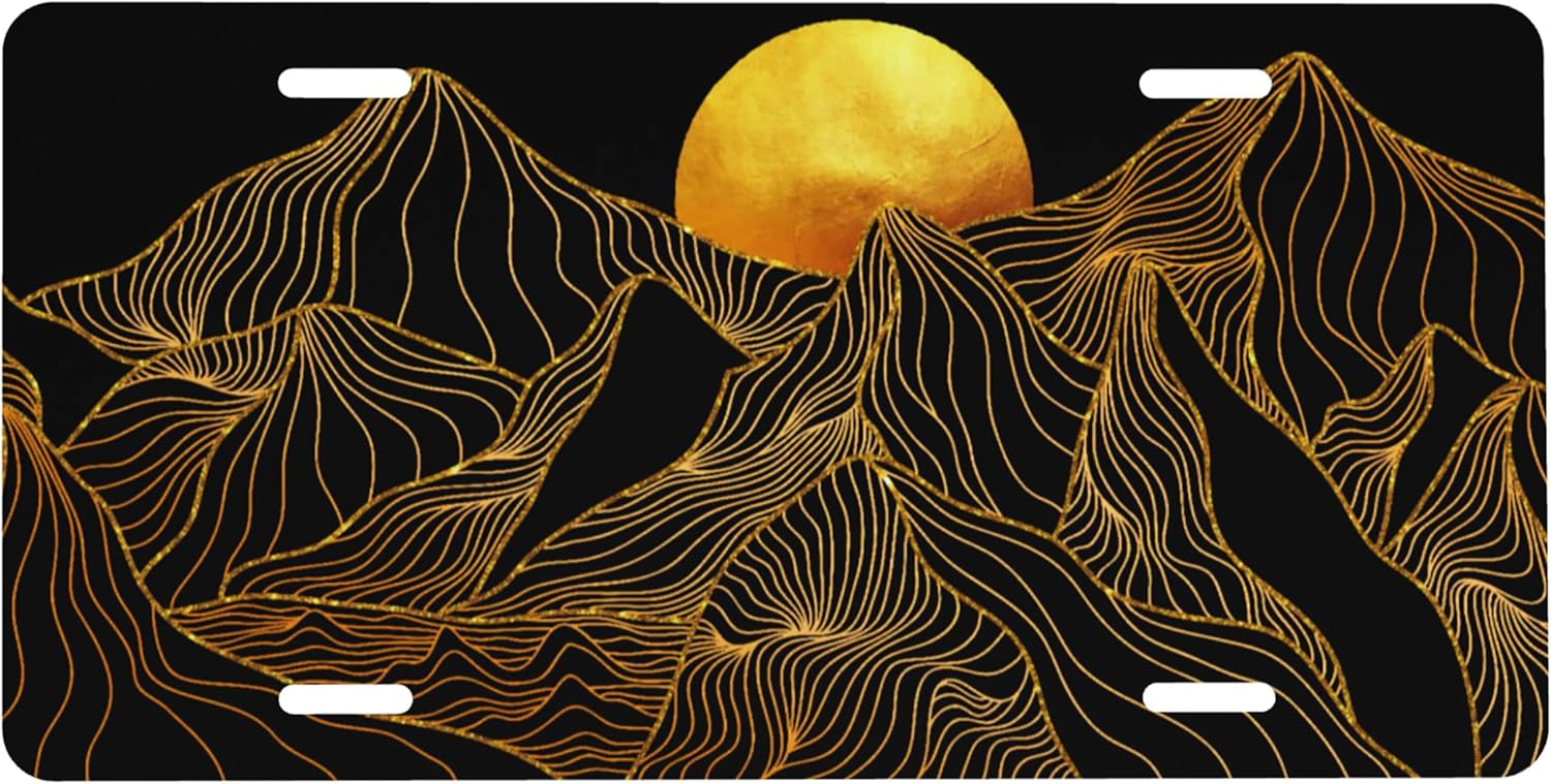 Placa de matrícula frontal de metal de aluminio, placa decorativa para automóvil, cubierta de matrícula novedosa para hombres y mujeres, 6 x 12