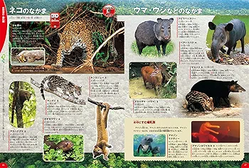 英語の鳥図鑑とジャングルの生き物図鑑 ジャングルの生き物 / 今泉忠明/湯本貴和 - 紀伊國屋書店ウェブ