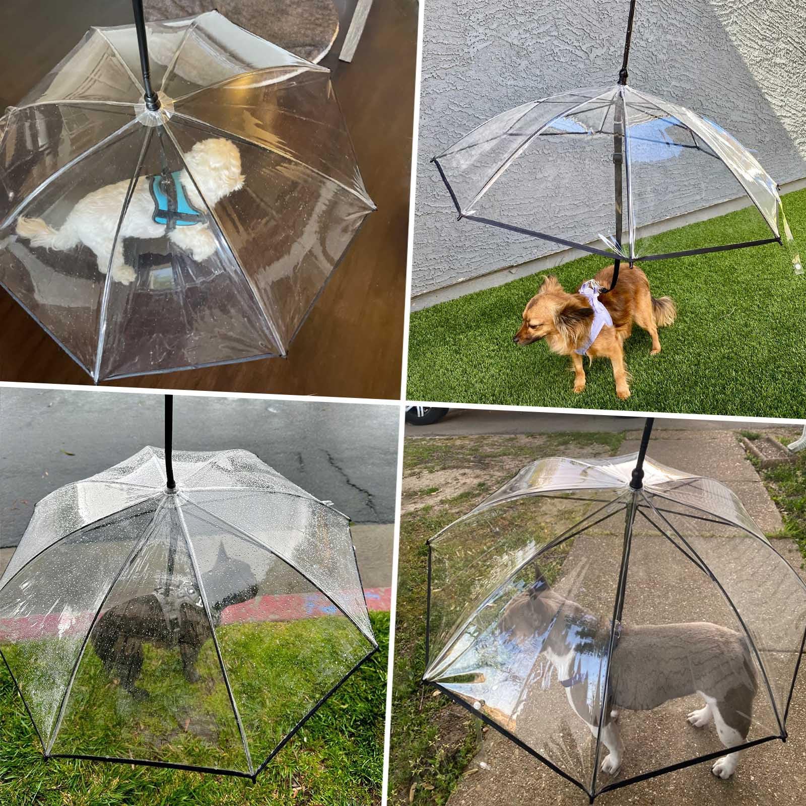 Klarer Regenschirm mit Verstellbarem Griff für Welpen und Haustiere, mit Verstellbarer Schnur