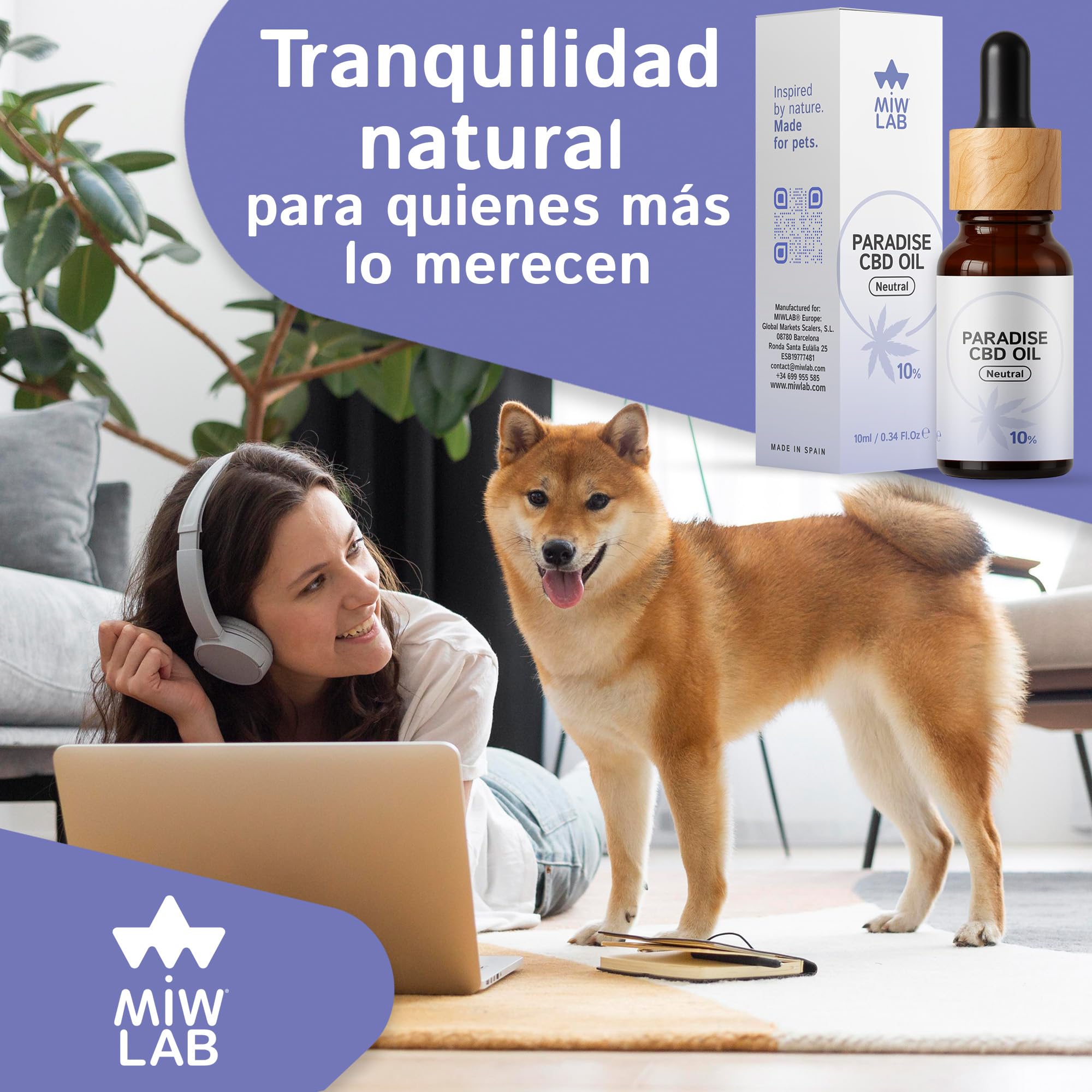 Paradise Aceite 10% CBD Relajante Natural para Gatos y Perros Hecho en España 240 Gotas Calmantes con Cannabidiol Tranquilizante de Ansiedad Dolor y Recuperación del Apetito Digestión y Articulaciones