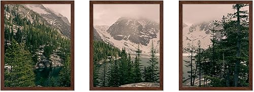 Miniatura 9 de Poster Master Póster de ilustración vintage de 3 piezas, impresión botánica retro, arte de pared sin marco de 8 x 10 pulgadas, regalo para artista,