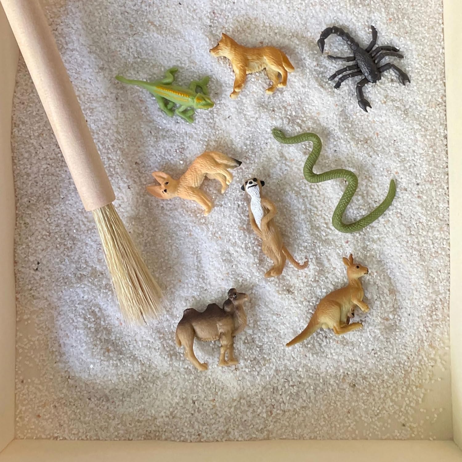 Safari Ltd. Desert Fun Pack - 8 Mini Animal Figurines Toy Set for Kids image 3