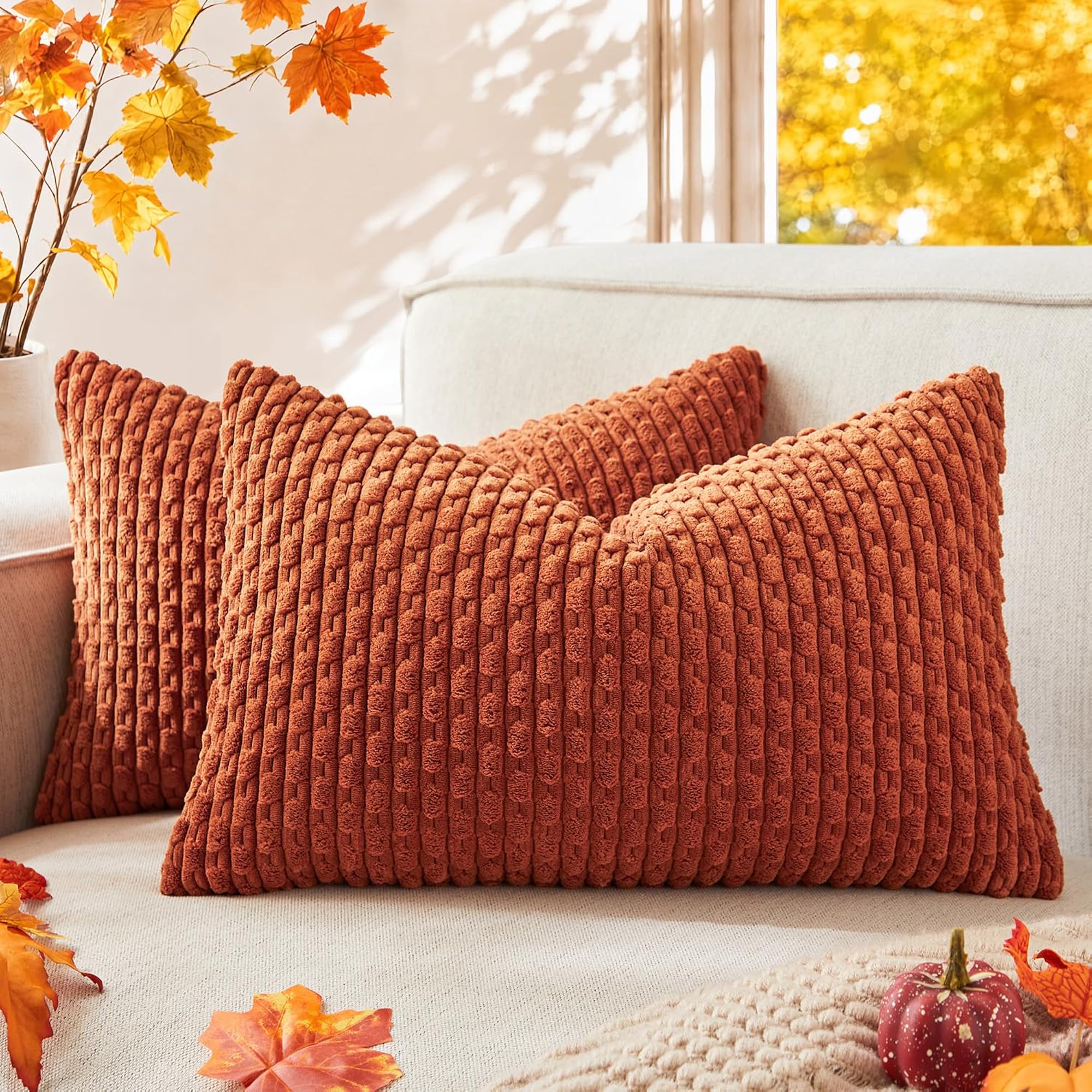 Soft Corduroy Pillow Covers 2 Pack
