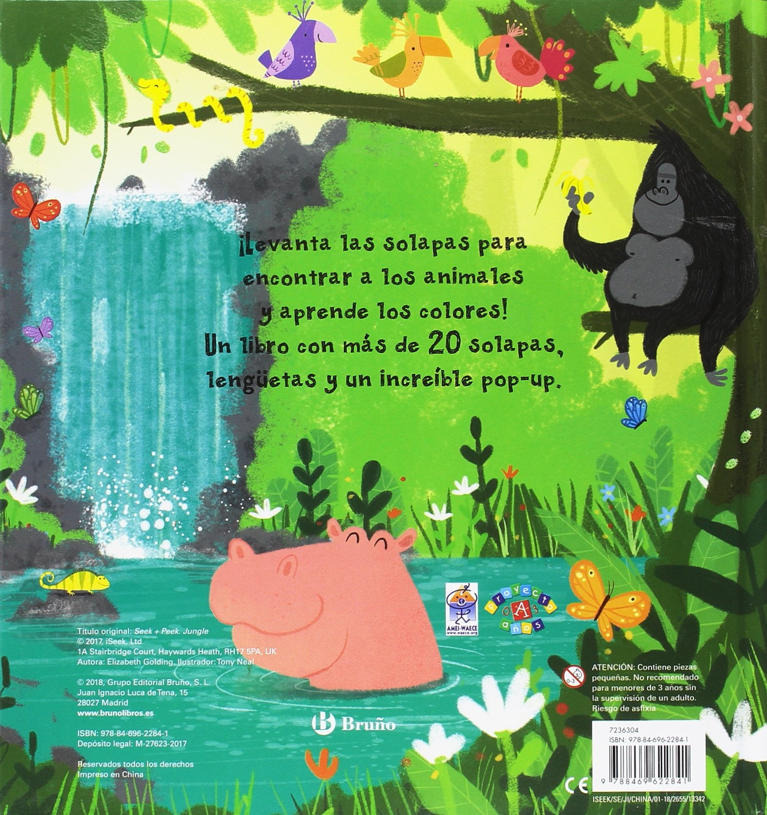 Asómate a la selva
