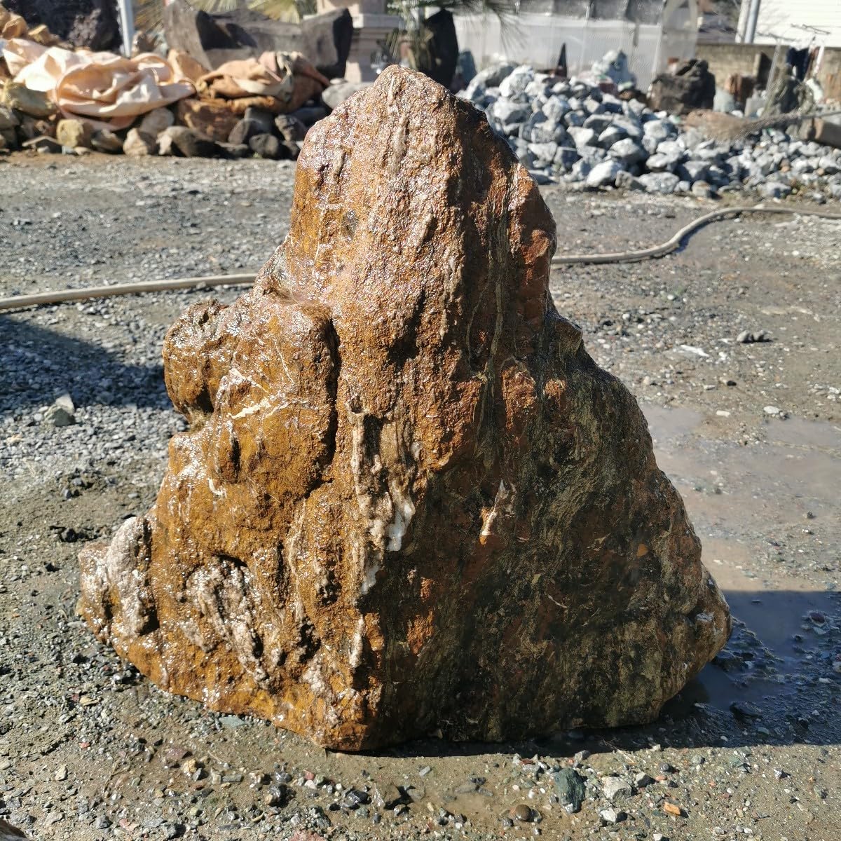 三波石　五色石　239キロ　庭石　石　鑑賞石　庭　坪庭　置物　オブジェ 三波石五色石239キロ庭石石鑑賞石庭坪庭置物オブジェ