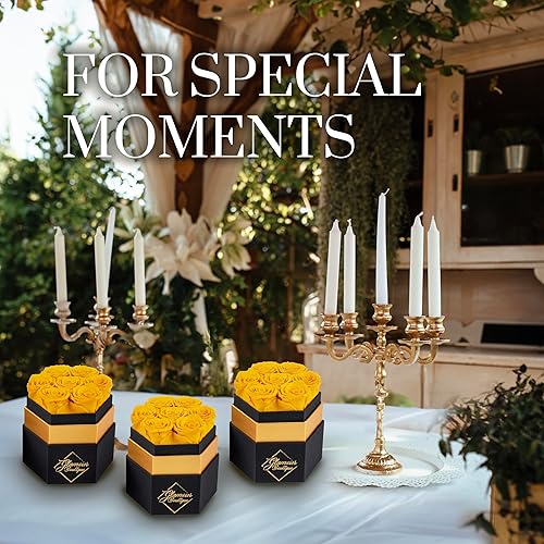 Miniatura 7 de GLAMOUR BOUTIQUE Caja de rosas blancas Forever de 7 piezas, rosas preservadas en una caja, rosas inmortales en una caja que duran un año, flores