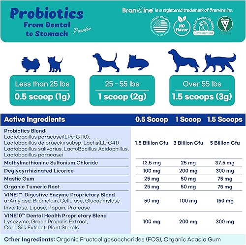Miniatura 5 de Probióticos dentales para el estómago - Probióticos patentados de 2 cepas que ayudan a la salud oral, vitamina U, goma masilla, DGL, propóleos,