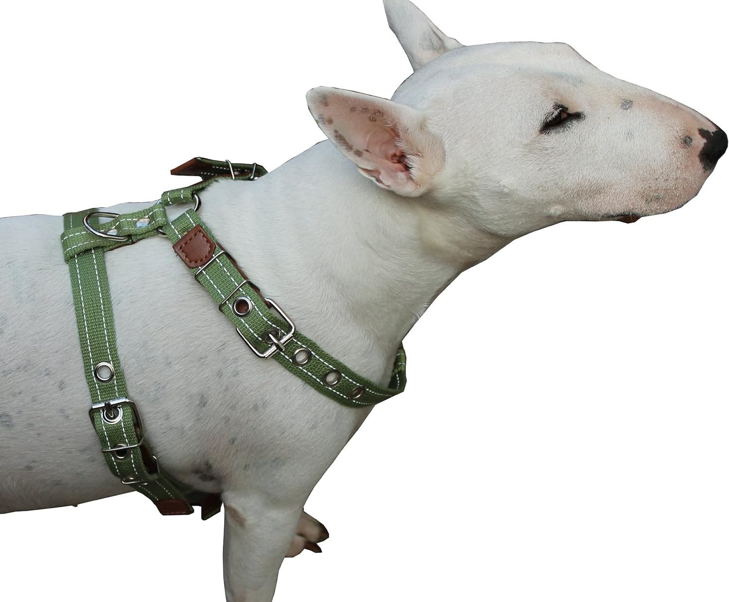 Cotton Web Dog Harness Large. Fits Girth 26"-31". 1" Wide Straps, Amstaff, Boxer, Pitbull