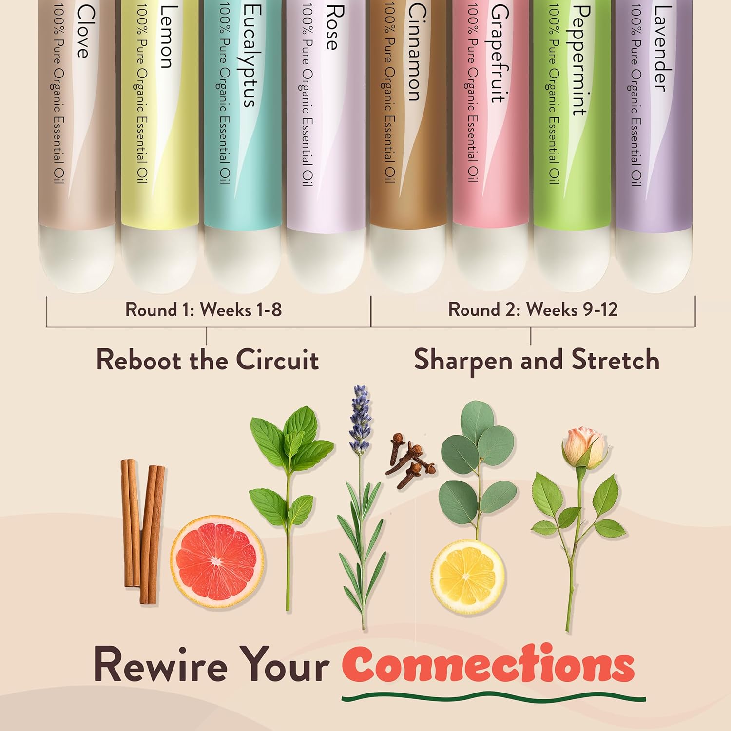 Smell Training Kit, Restore Sense of Smell and Taste, 8 Unique Scents, Made in The USA