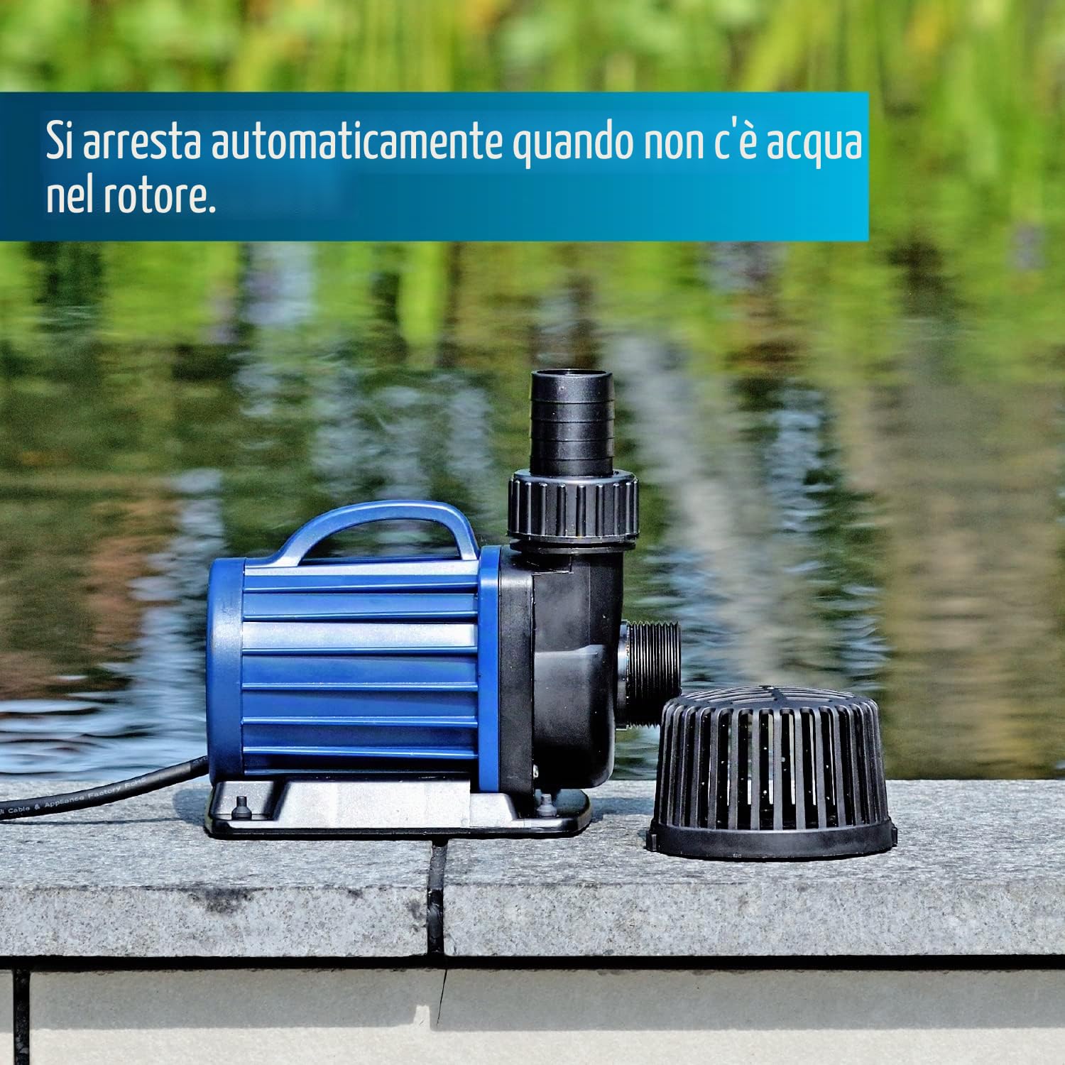 AQUAFORTE DM-6.500 Pompe per laghetti/filtri, 50 Watt, Portata ottima di 6,5 m3 all'ora, Altezza ottima di mandata di 4 Metri, Lunghezza Cavo 10 Metri, Adatto per corsi d'Acqua, cascate e filtri