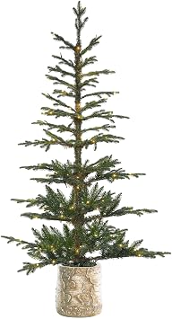 Haute Decor 5 Foot Pre-lit Timberland Fir Potted Christmas Tree