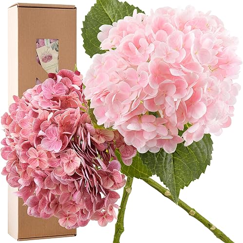 FiveSeasonStuff Real Touch - Flores de hortensias de seda, 2 flores artificiales grandes de tallo largo para arreglos florales (doble rosa)