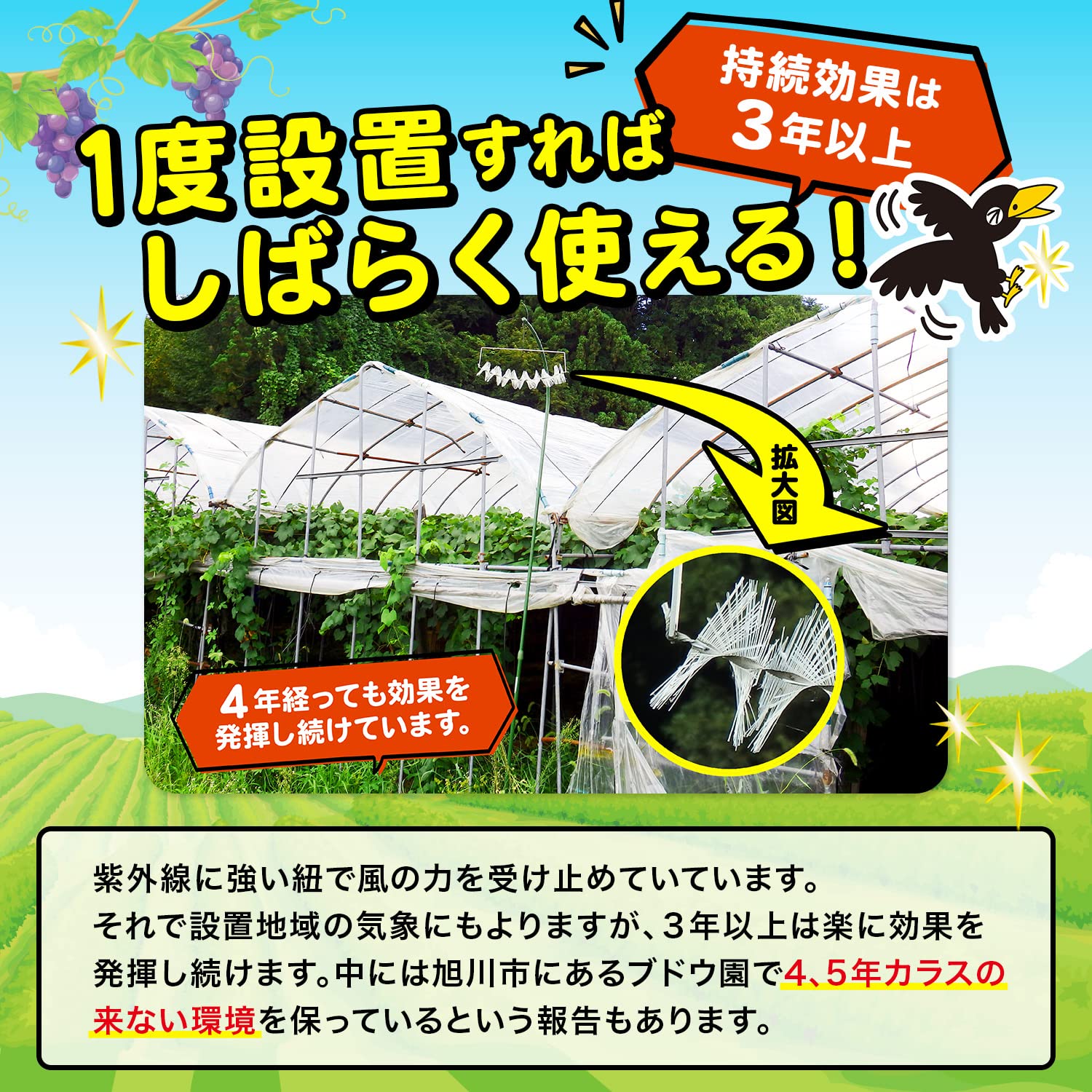 カラス撃退 忌避 カラスなぜ逃げる？【ニューどこでもタイプ】５個セット Amazon | カラスなぜ逃げる? ニューどこでもタイプ KS－015