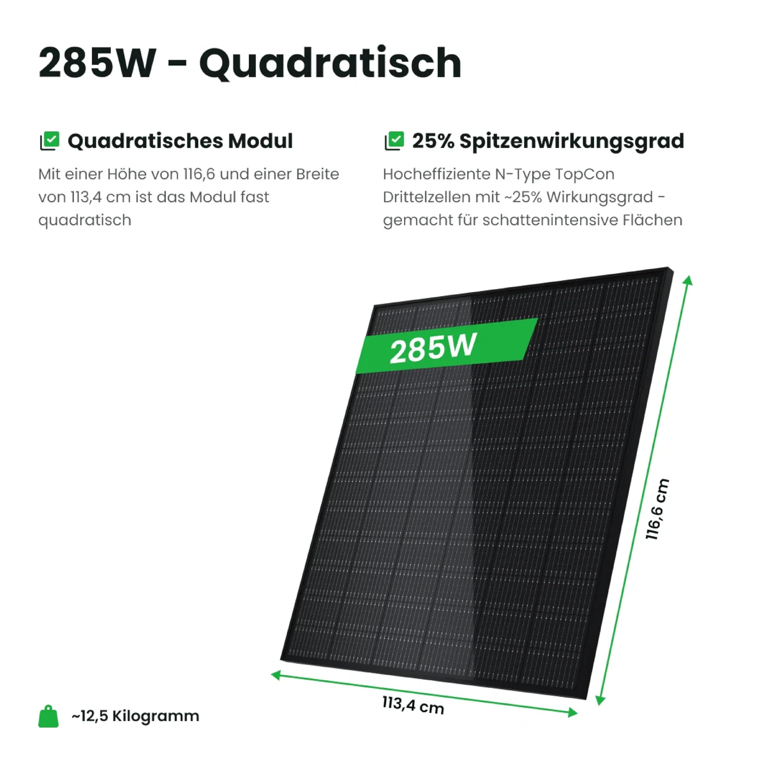 Ray 285W Balkonkraftwerk ohne Halterung – Individuelles Solaranlage Komplettsystem für DIY-Installation – 800W Wechselrichter + 1x 285W Solarpanel – Steckdosenfertig – inkl. Kabel & Zubehör