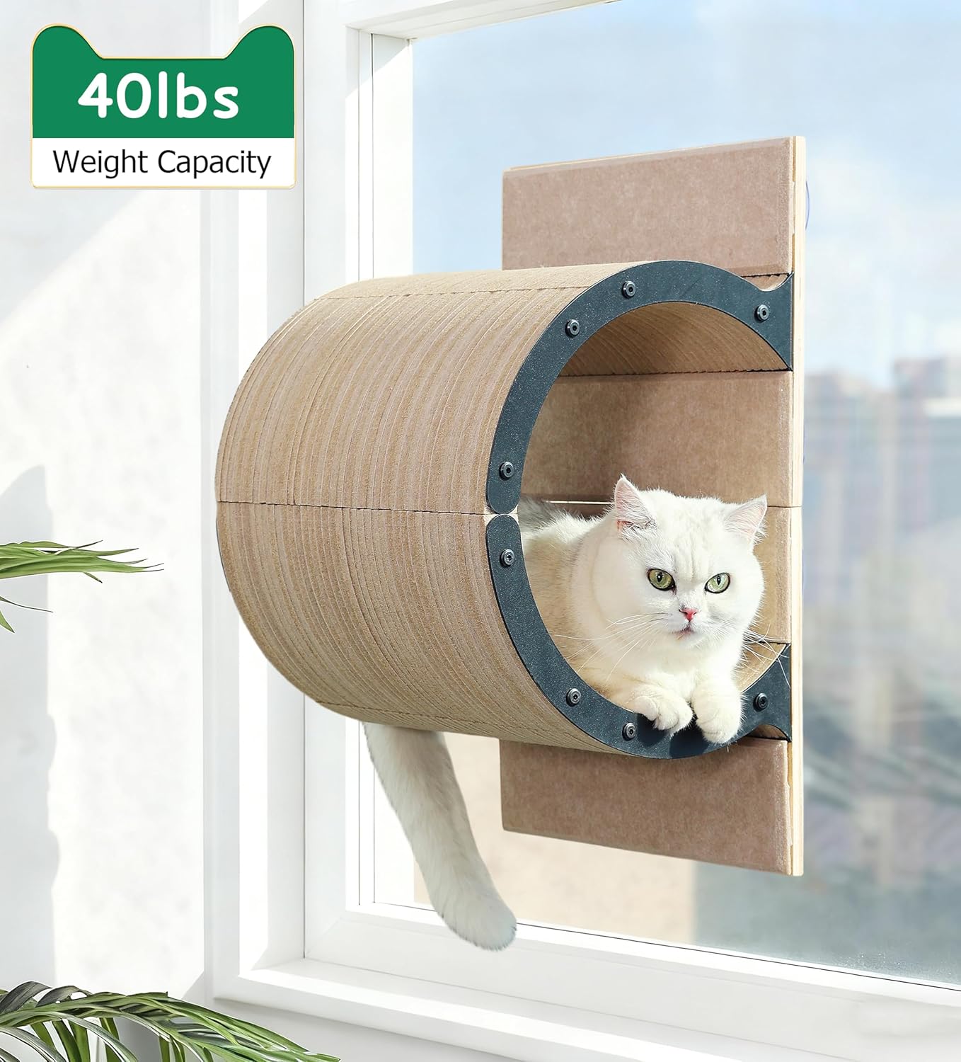 Cat Window Perch with Scratching Posts,Scratcher Winow Shelves for Multiple Use for Indoor Cat Climbing