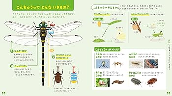 はじめての図鑑 Amazon.co.jp: 講談社: はじめての図鑑