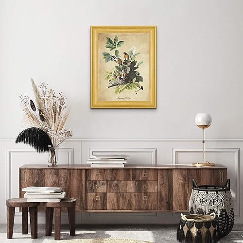 Vista 24 de Towee Bunting by James Audubon - Marco biselado negro de 12 x 16 pulgadas, decoración artística enmarcada para pared, reproducción de pinturas