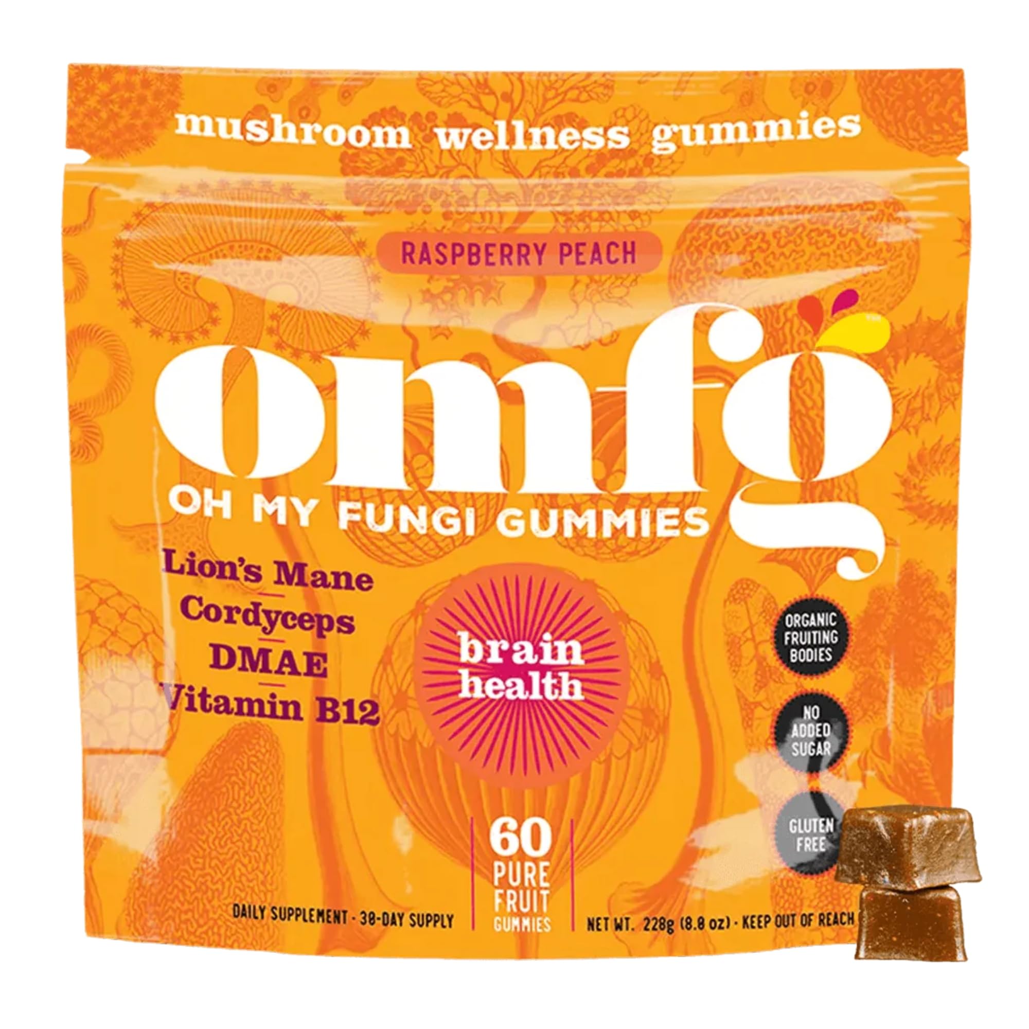 OH MY FUNGI GUMMIES Mushroom Supplement for Brain Health Support – Lions Mane, Cordyceps, B12, DMAE – Vegan Gummy for Focus, Energy & Clarity –