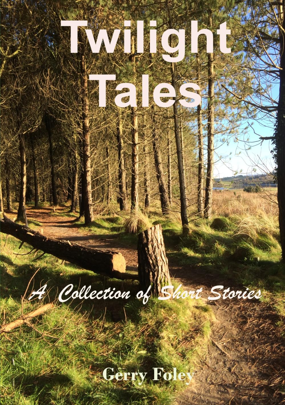 Twilight Tales: A Collection of Short Stories
