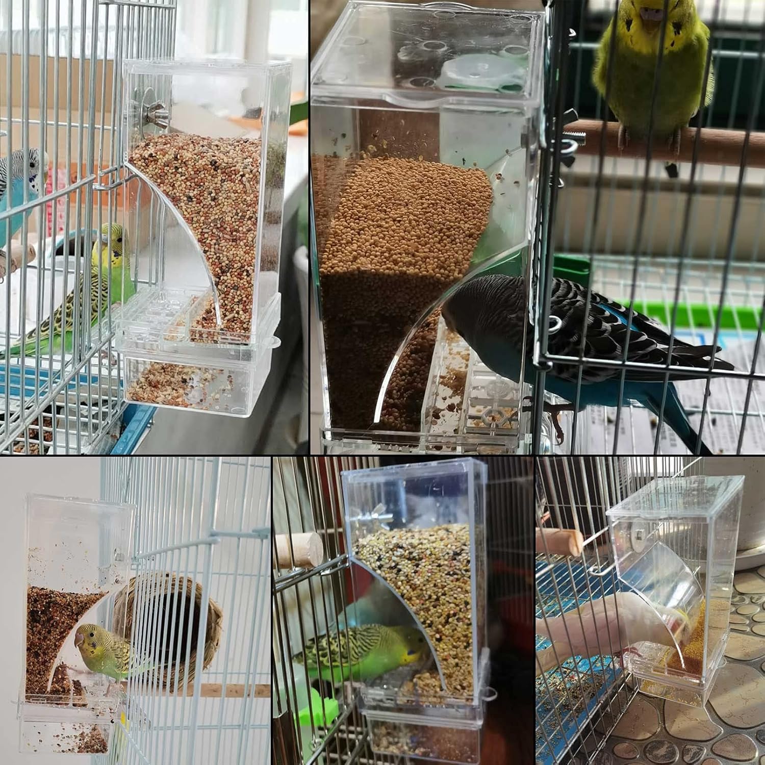 Automatyczny dozownik nasion dla ptaków - odporny na brud karmnik do klatki z segregatorem muszli, przezroczysty akryl do papużek, kanarków, kakadu (18,5 x 7,5 x 8,5 cm)