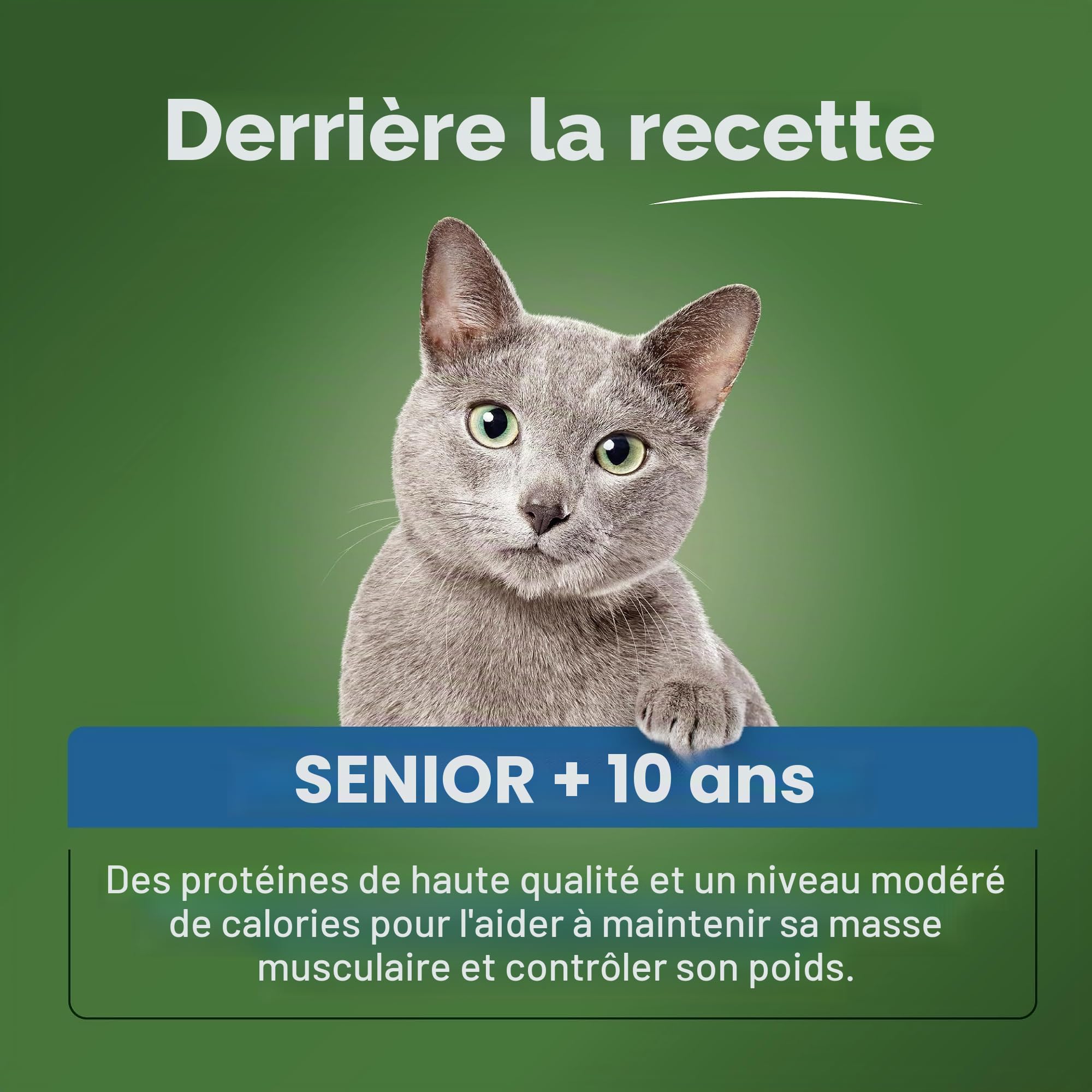 Ultima Expert Nutrition Nourriture Humide pour Chats stérilisés - Senior + 10 Ans - Boîte de 11 x (4 x 70 g)
