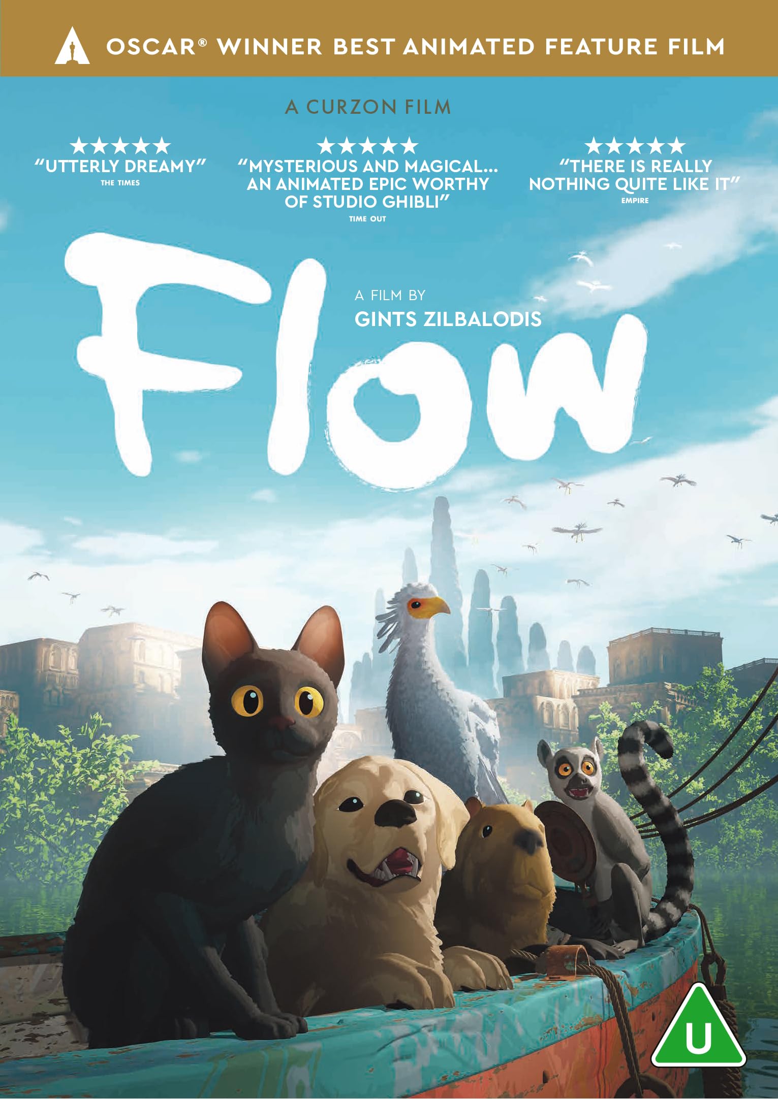 Flow [DVD] : Gints Zilbalodis: Amazon.ie