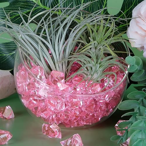 Vista 79 de Babenest - Rocas de hielo trituradas acrílicas, 150 piezas de cristales falsos, cubos de hielo de plástico, gemas de diamantes para rellenos