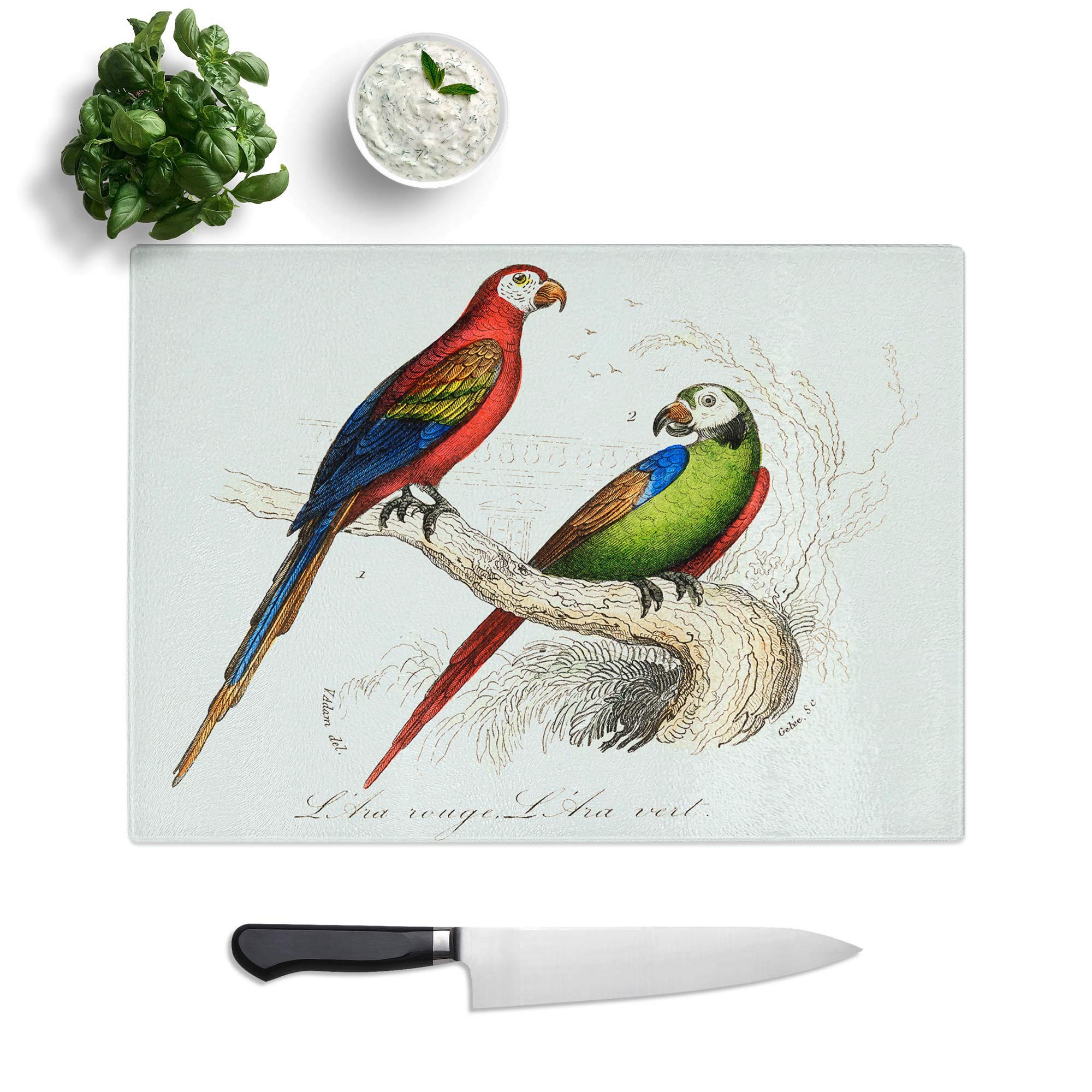 Glass Chopping Board - Scarlet and Green Macaw - Textured Worktop Saver Cutting Board - Heat Resistant, Shatterproof and Hygenic - 28.5 x 20 cm