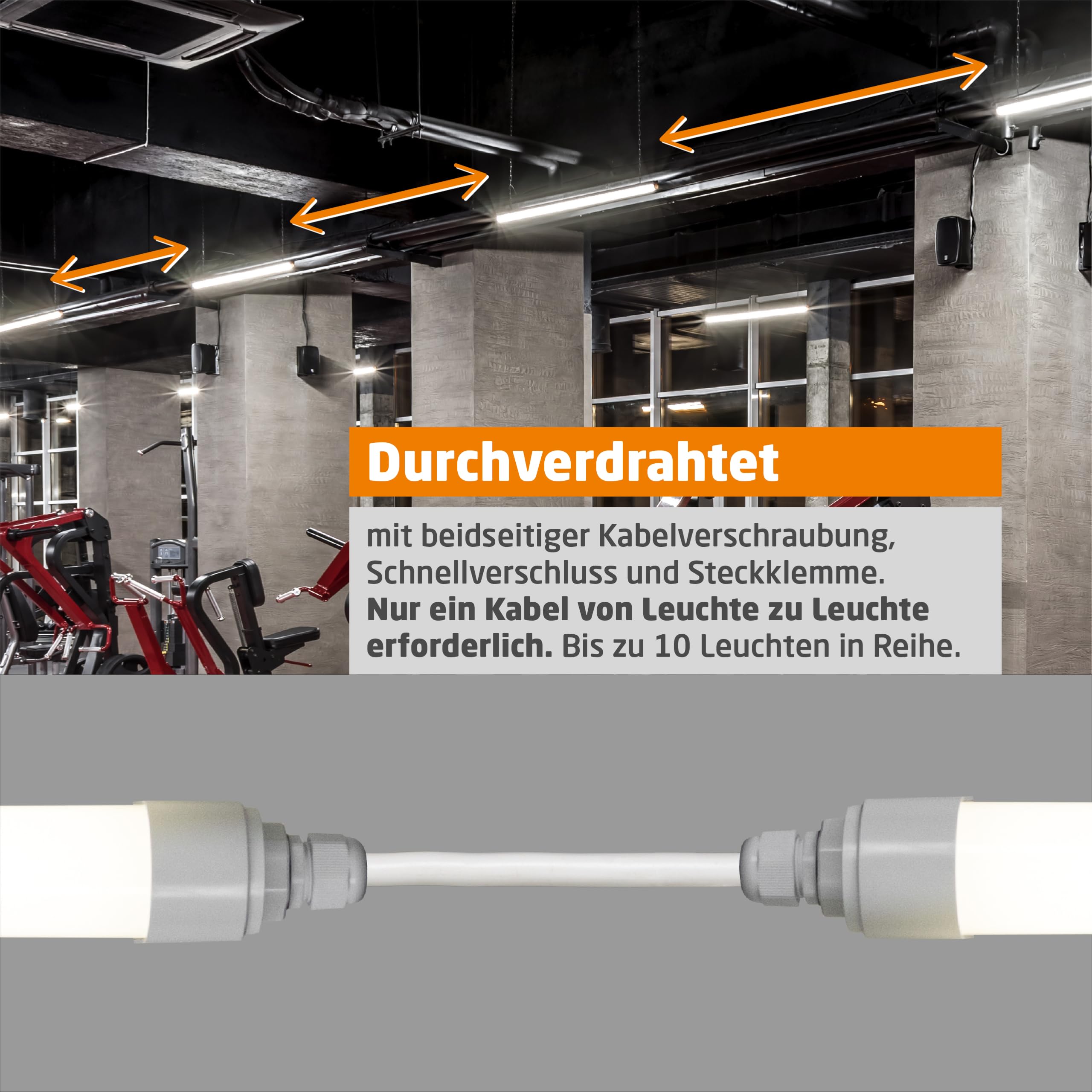 Proventa LED Wet Room Light 120 cm Pack of 16 IP65 - Dettaglio