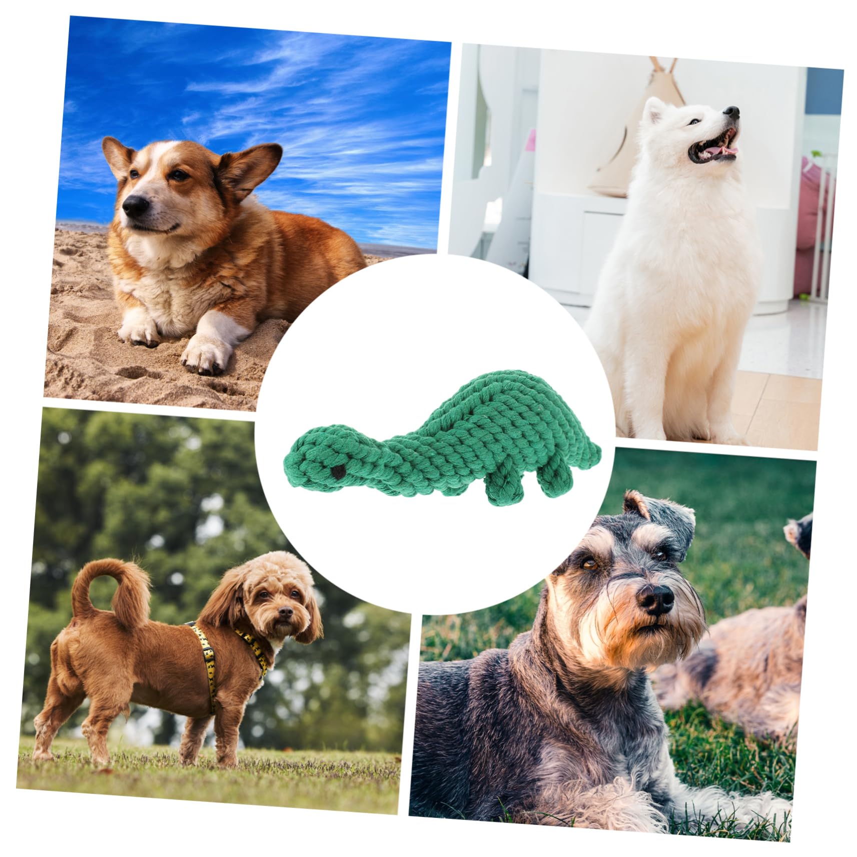 Totority Rope Woven Dog Toy Dinosaur Shaped Chewing Toy for Pet's Healthy Oral Care
