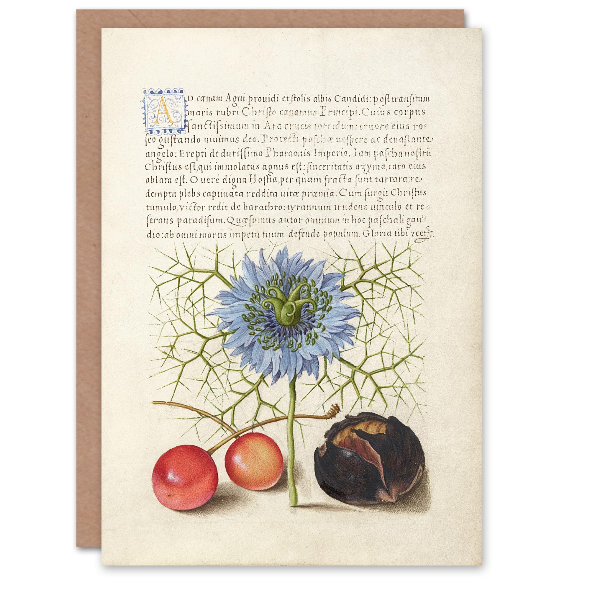 Artery8 Model Book of Calligraphy Art Card Love in a Mist and Cherries