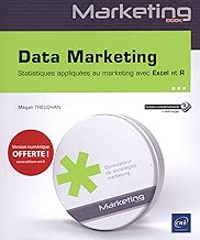 Download Data Marketing - Statistiques appliquées au marketing avec Excel et R PDF