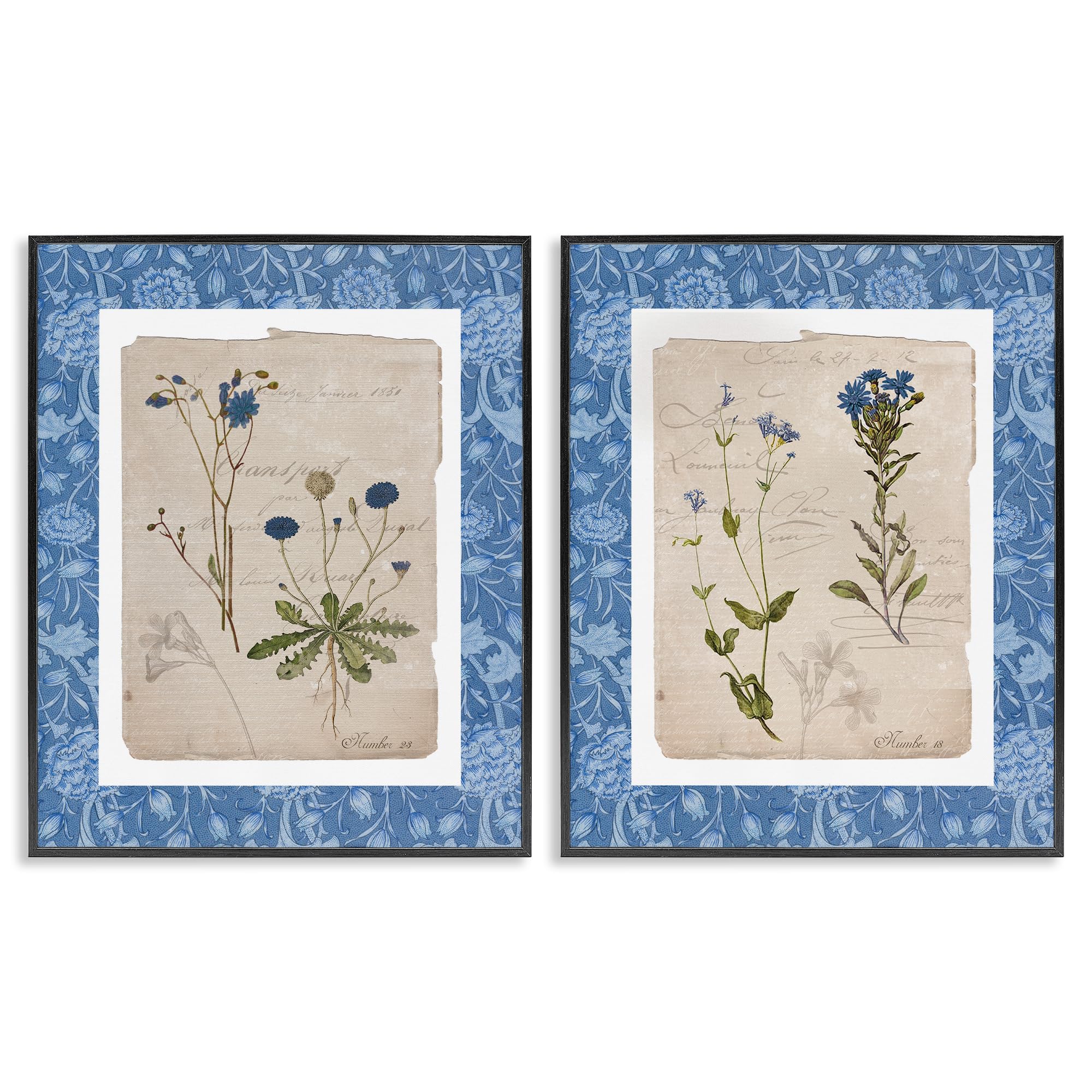 Stupell Industries Vintage Botanical Specimen Blue 'Blue Botanical Herbs'| 2Pc Framed Giclee Art Set 2