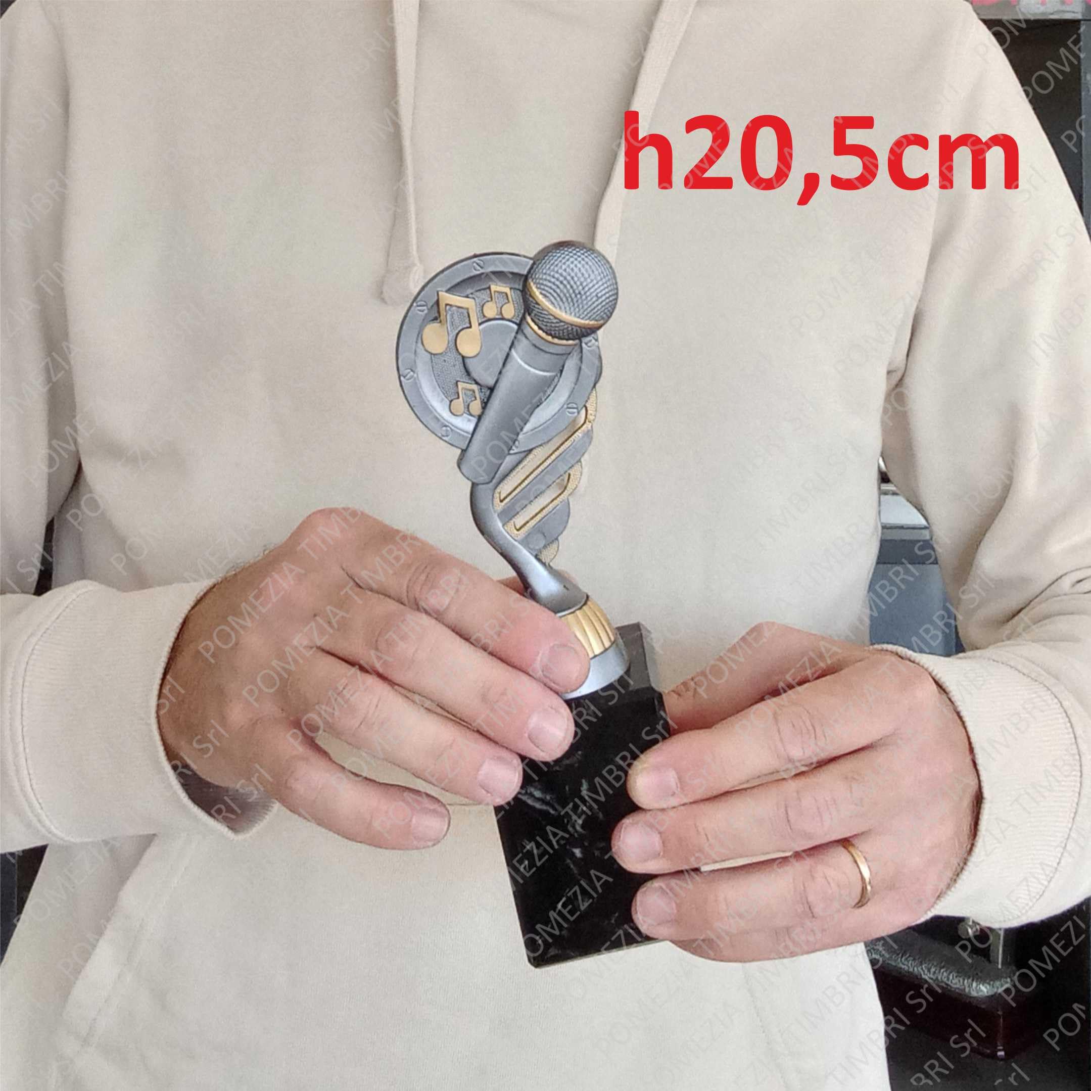 Generico Trofeo Microfono Karaoke h20,5cm Premio Canto Musica Regalo Gare FantaSanremo