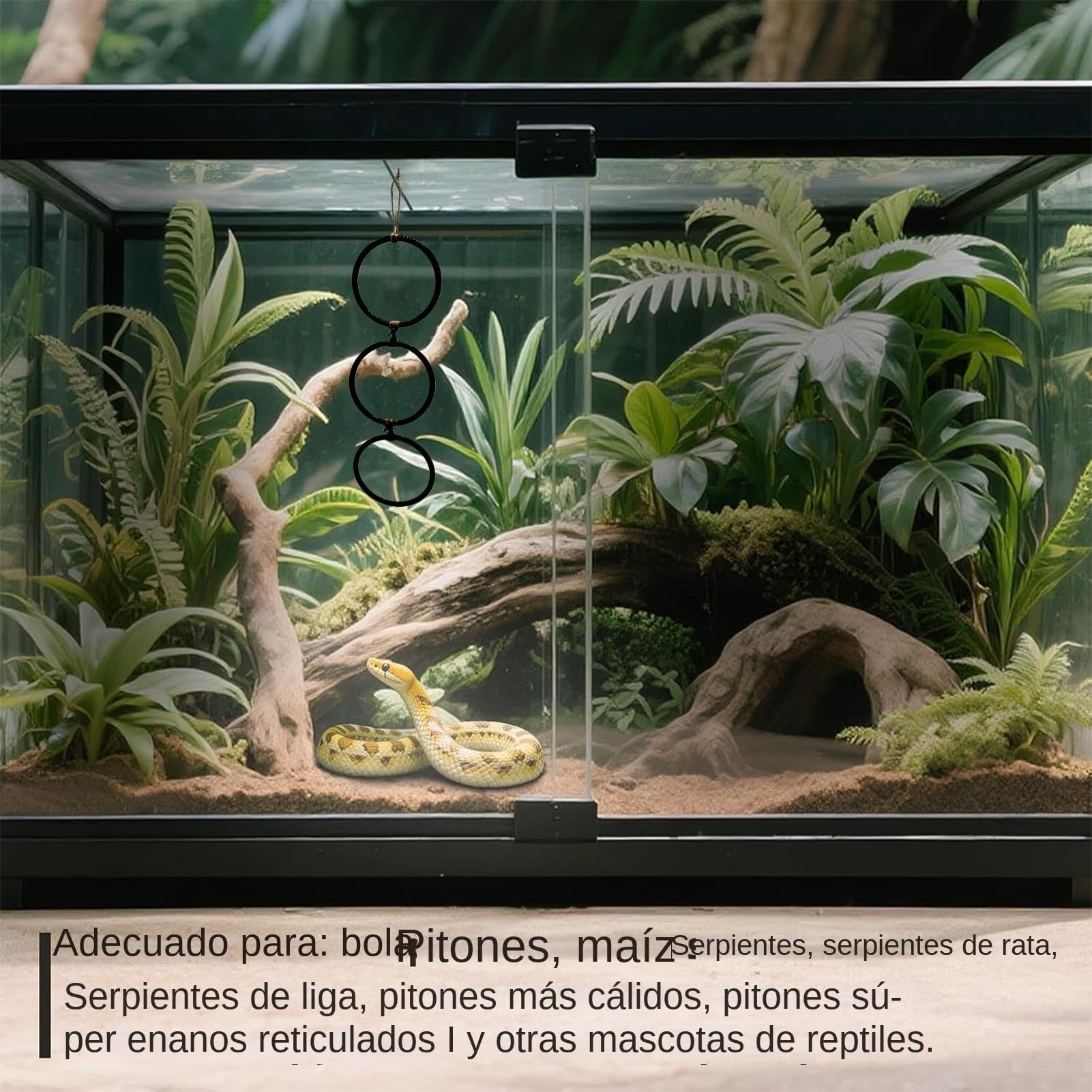 Juguetes De Enriquecimiento para Serpientes - Accesorios para Hábitat De Reptiles,con Aro Y Cadena Juego Interactivo para Anfibios Y Hábitat Interior para Mascotas
