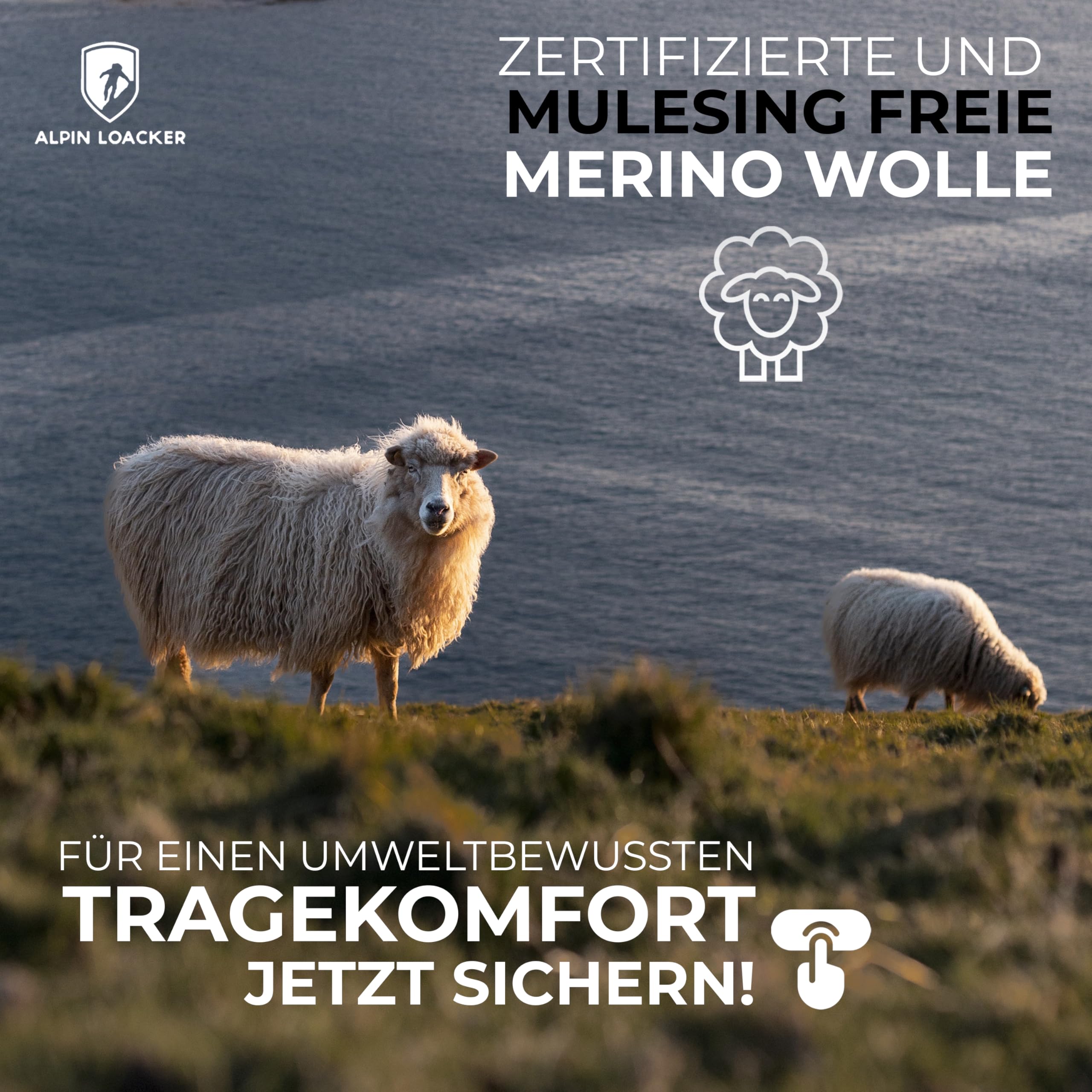 Alpin Loacker Koszulka damska Merino Wool - na zewnątrz, do uprawiania turystyki pieszej i sportów, damska termiczna warstwa podstawowa,Szary S