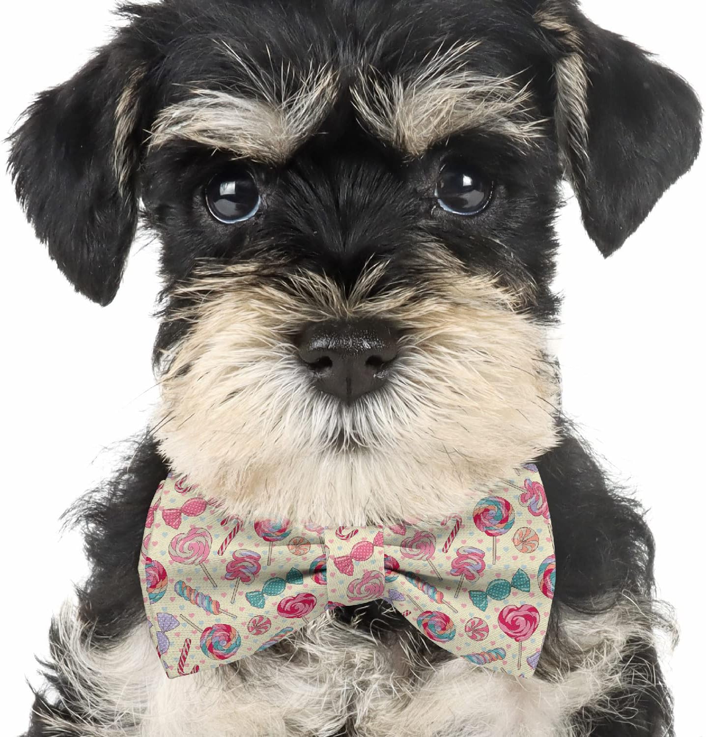 Adjustable Pre-tied bow tie for toddler Boys (Yummy Colorful Sweet Lollipop Candy Pattern) Elegant Cute Bowties for Dogs Cats Pets image 4